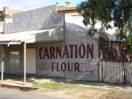 Carnation flour advertisement