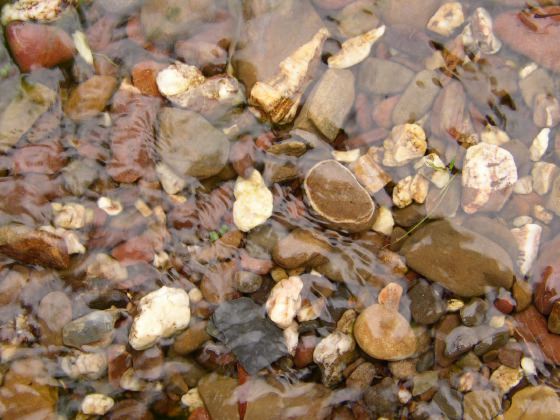 pebbles in the river, 66k