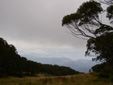 view from Mt Baw Baw village