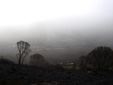 mist over Rocky Valley